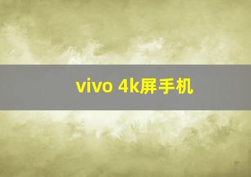 vivo 4k屏手机